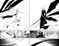 Bleach 219 05 kopie